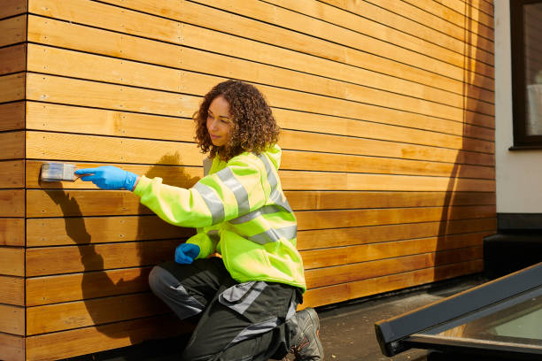 Best Stone Veneer Siding  in Fort Ashby, WV